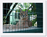 At_the _zoo (2) * 2048 x 1536 * (1.46MB)